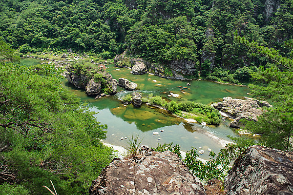 포토 JPG 주간 나무 여행 한국 풍경 사람없음 야외 여름 관광지 계곡 맑음 여름풍경 바위 강원도 국내여행 명승지 영월 동강 전경 영월10경 어라연계곡 국내포토 자연요소 식물 계절 아시아 날씨 강 돌_바위 파일형식 탑뷰 여름_계절