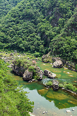 포토 JPG 주간 나무 여행 한국 풍경 사람없음 야외 여름 관광지 계곡 맑음 여름풍경 바위 강원도 국내여행 명승지 영월 동강 전경 영월10경 어라연계곡 국내포토 자연요소 식물 계절 아시아 날씨 강 돌_바위 파일형식 탑뷰 여름_계절