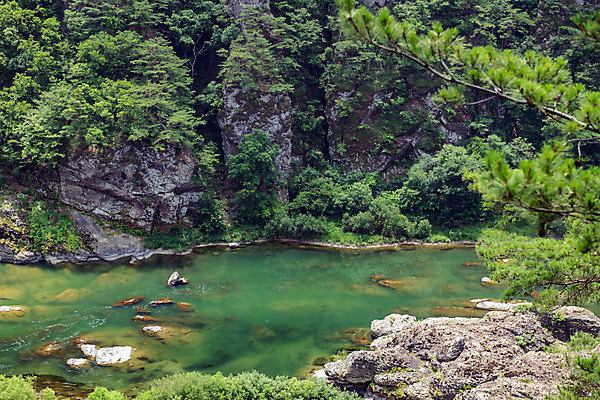 포토 JPG 주간 나무 여행 한국 풍경 사람없음 야외 여름 관광지 계곡 맑음 여름풍경 바위 강원도 국내여행 명승지 영월 동강 전경 영월10경 어라연계곡 국내포토 자연요소 식물 계절 아시아 날씨 강 돌_바위 파일형식 탑뷰 여름_계절