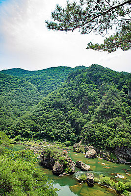 포토 JPG 주간 나무 구름 여행 하늘 산 한국 풍경 사람없음 야외 여름 관광지 계곡 맑음 여름풍경 바위 강원도 국내여행 명승지 영월 동강 전경 영월10경 어라연계곡 국내포토 자연요소 식물 계절 아시아 날씨 강 돌_바위 파일형식 탑뷰 여름_계절
