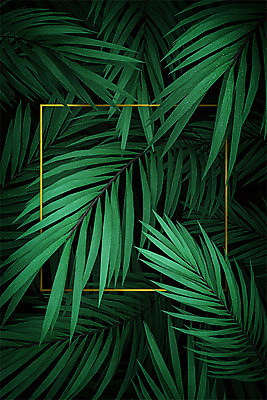 PSD 편집 편집이미지 선 백그라운드 나뭇잎 사람없음 초록색 3D 금색 면 디지털합성 오브젝트 편집소스 강조 이미지편집 편집3D 컬러 잎 파일형식