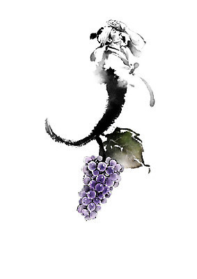 PSD 남자 채소 일러스트 캘리그라피 포도 붓터치 흑백 한명 사람 농작물 기쁨 농부 한복 번짐 신토불이 남자한명만 로컬푸드 국내일러스트 직업 1 한국전통 감정 농업 과일 촬영기법 농산물 전통의상 남자만 파일형식 효과