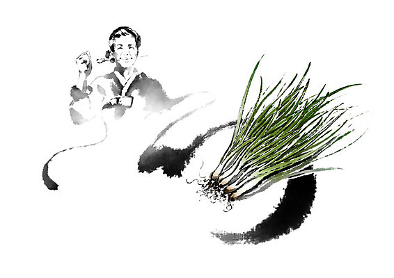 PSD 여자 채소 일러스트 캘리그라피 붓터치 흑백 한명 사람 농작물 기쁨 한복 주부 번짐 쪽파 신토불이 여자한명만 로컬푸드 국내일러스트 1 한국전통 감정 농업 촬영기법 농산물 전통의상 파 여자만 파일형식 효과