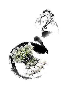 PSD 여자 채소 일러스트 캘리그라피 붓터치 흑백 한명 사람 농작물 기쁨 한복 주부 번짐 신토불이 총각무 여자한명만 로컬푸드 국내일러스트 1 한국전통 감정 농업 촬영기법 농산물 무 전통의상 여자만 파일형식 효과