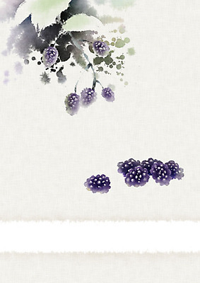 PSD 열매 줄기 과일 일러스트 나뭇잎 수채화 사람없음 보라색 나뭇가지 신선 달콤 번짐 블랙베리 화선지 국내일러스트 나무 식물 컬러 잎 맛 한지 파일형식 효과