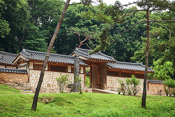 포토 JPG 주간 나무 한국전통 여행 유적지 풍경 사람없음 야외 여름 관광지 세계문화유산 문화재 역사 한국사 조선시대 인조 재실 조선왕릉 파주 파주장릉 인열왕후 국내포토 자연요소 식물 전통 계절 고건축 한국 왕 경기도 왕릉 파일형식 왕후