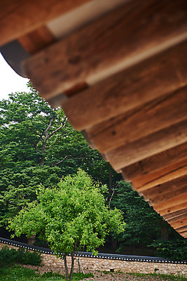 포토 JPG 주간 한국전통 로우앵글 여행 유적지 지붕 기와집 풍경 근접촬영 사람없음 야외 아웃포커스 여름 관광지 세계문화유산 문화재 역사 한국사 조선시대 인조 재실 조선왕릉 파주 파주장릉 인열왕후 국내포토 자연요소 전통 계절 뷰포인트 고건축 한옥 한국 촬영기법 왕 경기도 왕릉 파일형식 왕후