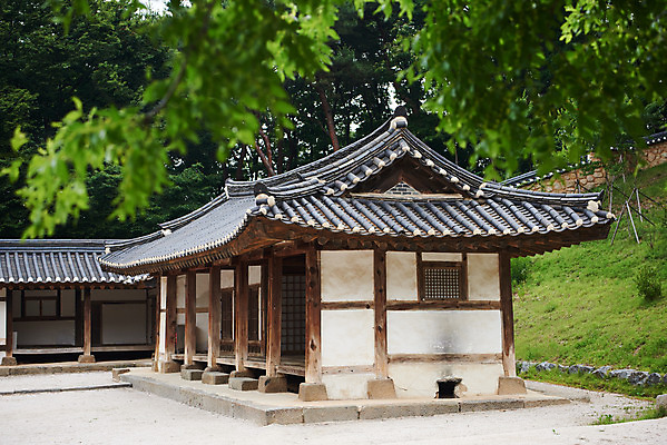 포토 JPG 주간 나무 한국전통 여행 유적지 기와집 풍경 사람없음 야외 여름 관광지 세계문화유산 문화재 역사 한국사 조선시대 인조 재실 조선왕릉 파주 파주장릉 인열왕후 국내포토 자연요소 식물 전통 계절 고건축 한옥 한국 왕 경기도 왕릉 파일형식 왕후