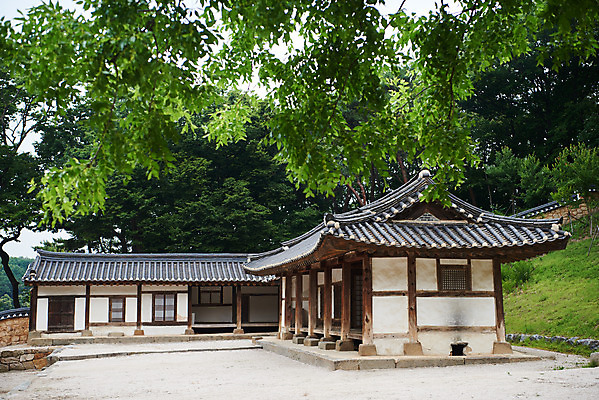 포토 JPG 주간 나무 한국전통 여행 유적지 기와집 풍경 사람없음 야외 여름 관광지 세계문화유산 문화재 역사 한국사 조선시대 인조 재실 조선왕릉 파주 파주장릉 인열왕후 국내포토 자연요소 식물 전통 계절 고건축 한옥 한국 왕 경기도 왕릉 파일형식 왕후
