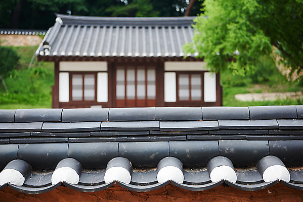 포토 JPG 주간 한국전통 여행 유적지 기와집 풍경 사람없음 야외 여름 관광지 세계문화유산 문화재 역사 한국사 조선시대 인조 재실 조선왕릉 파주 기와담장 파주장릉 인열왕후 국내포토 자연요소 전통 계절 고건축 한옥 한국 기와 담장 왕 경기도 왕릉 파일형식 왕후