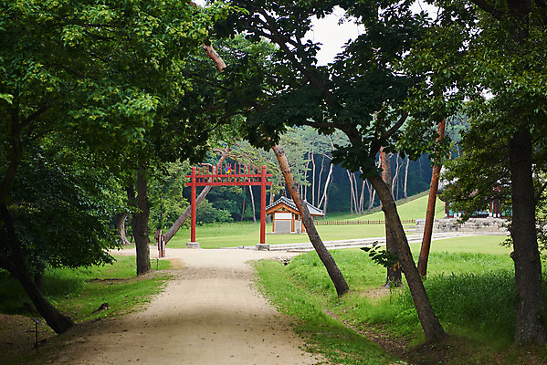 포토 JPG 주간 나무 한국전통 여행 유적지 풍경 사람없음 야외 여름 관광지 세계문화유산 문화재 역사 한국사 조선시대 인조 조선왕릉 홍살문 파주 파주장릉 인열왕후 국내포토 자연요소 식물 전통 계절 고건축 한국 왕 전통문 경기도 왕릉 파일형식 왕후