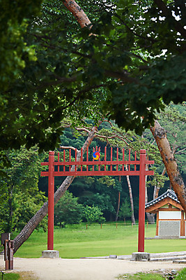 포토 JPG 주간 나무 한국전통 여행 유적지 풍경 사람없음 야외 여름 관광지 세계문화유산 문화재 역사 한국사 조선시대 인조 조선왕릉 홍살문 파주 파주장릉 인열왕후 국내포토 자연요소 식물 전통 계절 고건축 한국 왕 전통문 경기도 왕릉 파일형식 왕후