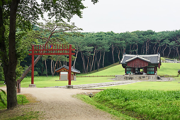 포토 JPG 주간 나무 한국전통 여행 유적지 풍경 사람없음 야외 여름 관광지 세계문화유산 문화재 역사 한국사 조선시대 인조 정자각 조선왕릉 홍살문 파주 파주장릉 인열왕후 국내포토 자연요소 식물 전통 계절 고건축 한국 왕 전통문 경기도 왕릉 파일형식 왕후