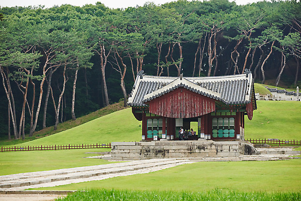 포토 JPG 주간 나무 한국전통 여행 유적지 풍경 사람없음 야외 여름 관광지 세계문화유산 문화재 역사 한국사 조선시대 인조 정자각 조선왕릉 파주 파주장릉 인열왕후 국내포토 자연요소 식물 전통 계절 고건축 한국 왕 경기도 왕릉 파일형식 왕후