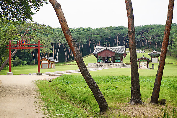 포토 JPG 주간 나무 한국전통 여행 유적지 풍경 사람없음 야외 여름 관광지 세계문화유산 문화재 역사 한국사 조선시대 인조 정자각 조선왕릉 홍살문 파주 파주장릉 인열왕후 국내포토 자연요소 식물 전통 계절 고건축 한국 왕 전통문 경기도 왕릉 파일형식 왕후