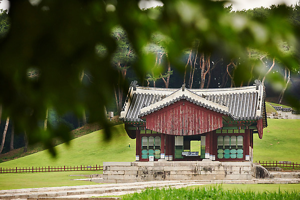 포토 JPG 주간 나무 한국전통 여행 유적지 풍경 사람없음 야외 아웃포커스 여름 관광지 세계문화유산 문화재 역사 한국사 조선시대 인조 정자각 조선왕릉 파주 파주장릉 인열왕후 국내포토 자연요소 식물 전통 계절 고건축 한국 촬영기법 왕 경기도 왕릉 파일형식 왕후