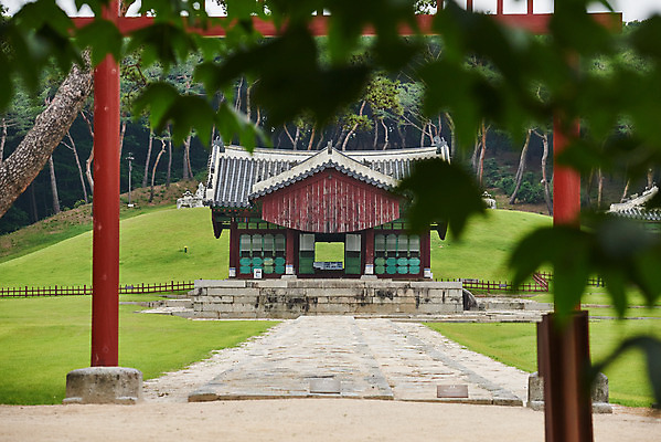 포토 JPG 주간 나무 한국전통 여행 유적지 풍경 사람없음 야외 아웃포커스 여름 관광지 세계문화유산 문화재 역사 한국사 조선시대 인조 정자각 조선왕릉 홍살문 파주 파주장릉 인열왕후 신로 국내포토 자연요소 식물 전통 계절 고건축 한국 촬영기법 왕 전통문 경기도 왕릉 파일형식 왕후 향어로