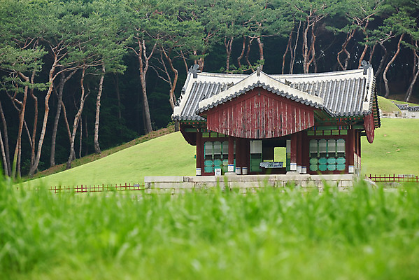 포토 JPG 주간 한국전통 여행 유적지 풍경 잔디 사람없음 야외 여름 관광지 세계문화유산 문화재 역사 한국사 조선시대 인조 정자각 조선왕릉 파주 파주장릉 인열왕후 국내포토 자연요소 식물 전통 계절 고건축 한국 왕 경기도 왕릉 파일형식 왕후
