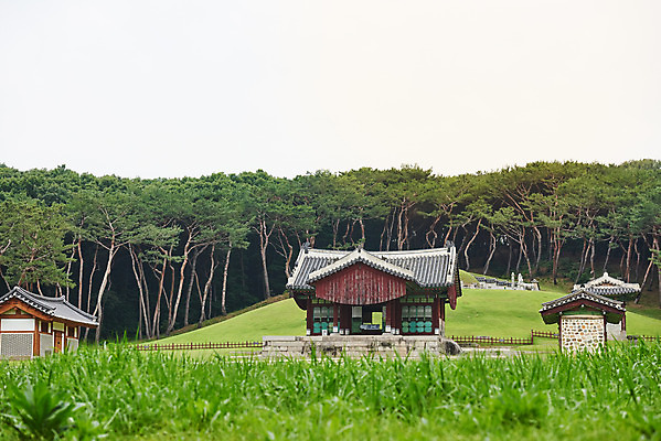 포토 JPG 주간 한국전통 여행 유적지 풍경 사람없음 야외 여름 관광지 세계문화유산 문화재 역사 한국사 조선시대 인조 정자각 조선왕릉 파주 파주장릉 인열왕후 국내포토 자연요소 전통 계절 고건축 한국 왕 경기도 왕릉 파일형식 왕후