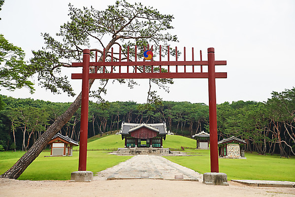 포토 JPG 주간 나무 한국전통 여행 유적지 풍경 사람없음 야외 여름 관광지 세계문화유산 문화재 역사 한국사 조선시대 어로 인조 정자각 조선왕릉 홍살문 파주 파주장릉 인열왕후 신로 국내포토 자연요소 식물 전통 계절 고건축 한국 왕 전통문 경기도 왕릉 파일형식 왕후 향어로