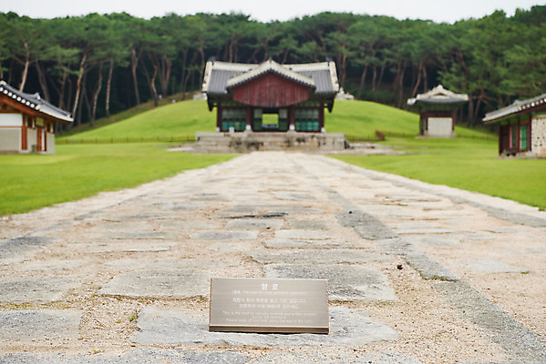 포토 JPG 주간 한국전통 여행 유적지 풍경 사람없음 야외 여름 관광지 세계문화유산 문화재 역사 한국사 조선시대 어로 인조 정자각 조선왕릉 파주 파주장릉 인열왕후 신로 국내포토 자연요소 전통 계절 고건축 한국 왕 경기도 왕릉 파일형식 왕후 향어로