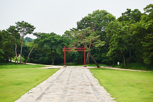 포토 JPG 주간 나무 한국전통 여행 유적지 풍경 사람없음 야외 여름 관광지 세계문화유산 문화재 역사 한국사 조선시대 어로 인조 조선왕릉 홍살문 파주 파주장릉 인열왕후 신로 국내포토 자연요소 식물 전통 계절 고건축 한국 왕 전통문 경기도 왕릉 파일형식 왕후 향어로