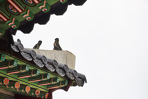 포토 JPG 주간 한국전통 로우앵글 여행 유적지 풍경 사람없음 야외 여름 관광지 세계문화유산 문화재 역사 한국사 조선시대 인조 잡상 정자각 조선왕릉 파주 파주장릉 인열왕후 국내포토 자연요소 전통 계절 뷰포인트 고건축 한국 기와 왕 경기도 왕릉 파일형식 왕후