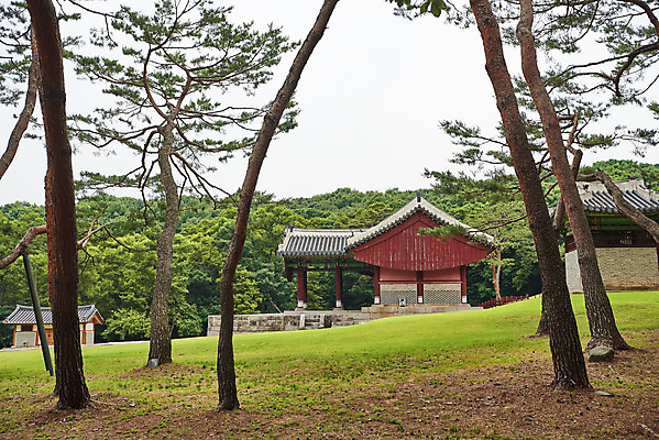 포토 JPG 주간 나무 한국전통 여행 유적지 풍경 사람없음 야외 여름 관광지 세계문화유산 문화재 역사 한국사 조선시대 인조 정자각 조선왕릉 파주 파주장릉 인열왕후 국내포토 자연요소 식물 전통 계절 고건축 한국 왕 경기도 왕릉 파일형식 왕후