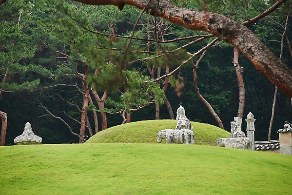 포토 JPG 주간 나무 한국전통 여행 유적지 풍경 사람없음 야외 여름 관광지 세계문화유산 문화재 역사 한국사 조선시대 인조 조선왕릉 파주 능침 파주장릉 인열왕후 국내포토 자연요소 식물 전통 계절 고건축 한국 왕 경기도 왕릉 파일형식 왕후