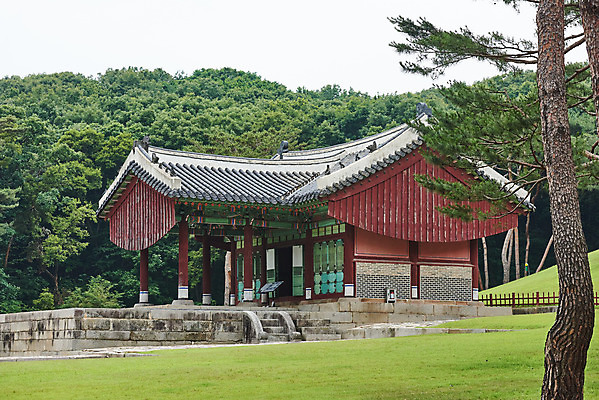 포토 JPG 주간 나무 한국전통 여행 유적지 풍경 사람없음 야외 여름 관광지 세계문화유산 문화재 역사 한국사 조선시대 인조 정자각 조선왕릉 파주 파주장릉 인열왕후 국내포토 자연요소 식물 전통 계절 고건축 한국 왕 경기도 왕릉 파일형식 왕후