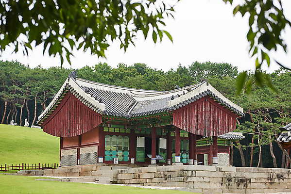 포토 JPG 주간 나무 한국전통 여행 유적지 풍경 사람없음 야외 여름 관광지 세계문화유산 문화재 역사 한국사 조선시대 인조 정자각 조선왕릉 파주 파주장릉 인열왕후 국내포토 자연요소 식물 전통 계절 고건축 한국 왕 경기도 왕릉 파일형식 왕후