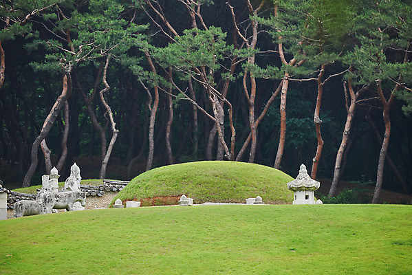포토 JPG 주간 나무 한국전통 여행 유적지 풍경 사람없음 야외 여름 관광지 세계문화유산 문화재 역사 한국사 조선시대 인조 조선왕릉 파주 능침 파주장릉 인열왕후 국내포토 자연요소 식물 전통 계절 고건축 한국 왕 경기도 왕릉 파일형식 왕후