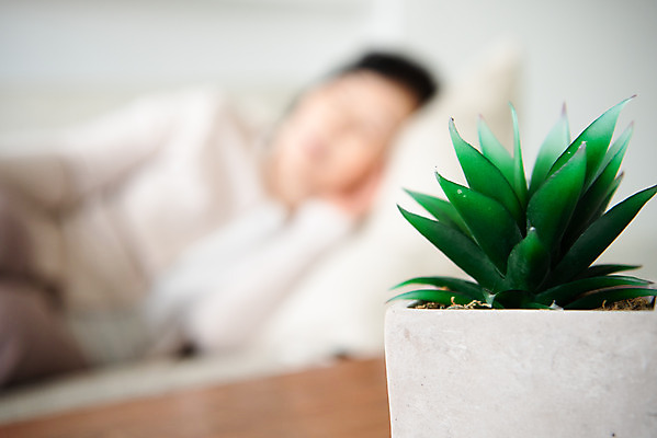 포토 JPG 식물 여자 노년 화분 여유 모션 휴식 실내 피곤 한명 근접촬영 상반신 앞모습 아웃포커스 소파 눕기 한국인 60대 은퇴 낮잠 독거노인 노인여자한명만 졸혼 국내포토 1 감정 뷰포인트 컨셉 의자 촬영기법 사람 동양인 성인 내부 잠 합성어 여자한명만 노인여자만 파일형식