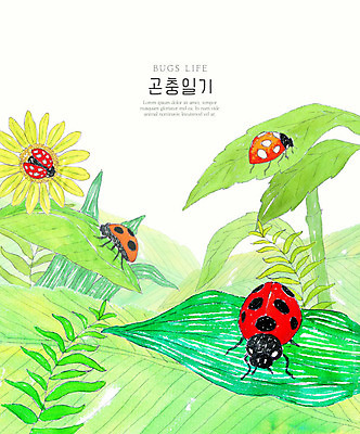 PSD 꽃 곤충 여러마리 일러스트 자연 수채화 풍경 사람없음 컬러풀 풀잎 생태계 무당벌레 국내일러스트 식물 동물 컬러 다수 잎 풀_식물 파일형식