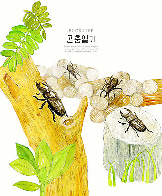 PSD 나무 곤충 여러마리 일러스트 자연 나뭇잎 수채화 풍경 사람없음 컬러풀 생태계 통나무 나무밑둥 사슴벌레 국내일러스트 식물 동물 컬러 다수 잎 파일형식