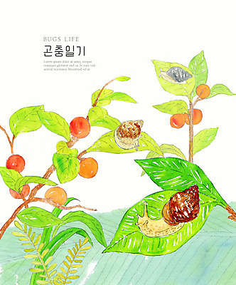 PSD 나무 열매 곤충 여러마리 일러스트 자연 나뭇잎 수채화 풍경 사람없음 컬러풀 생태계 달팽이 국내일러스트 식물 동물 컬러 다수 잎 연체동물 파일형식