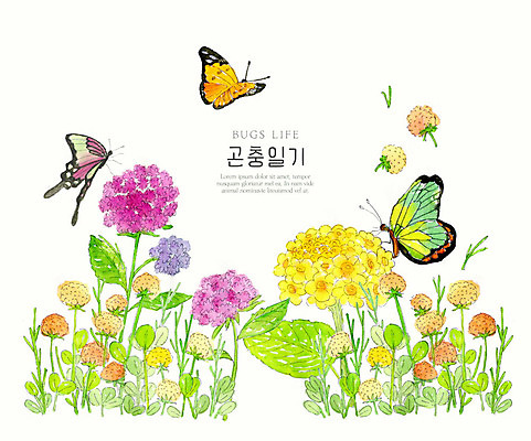 PSD 식물 꽃 나비 곤충 일러스트 자연 수채화 세마리 풍경 사람없음 컬러풀 생태계 국내일러스트 동물 컬러 3 파일형식