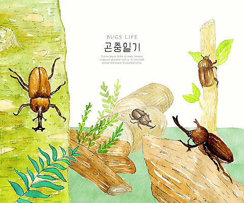 PSD 나무 곤충 여러마리 일러스트 자연 나뭇잎 수채화 풍경 사람없음 컬러풀 생태계 장수풍뎅이 국내일러스트 식물 동물 컬러 다수 잎 파일형식