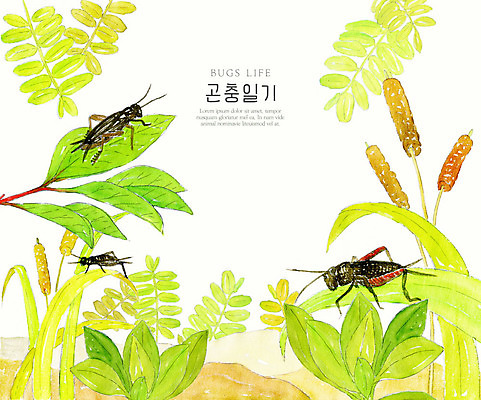 PSD 식물 곤충 일러스트 자연 수채화 세마리 풍경 사람없음 컬러풀 풀잎 땅 생태계 풀숲 귀뚜라미 국내일러스트 동물 컬러 잎 3 풀_식물 숲 파일형식