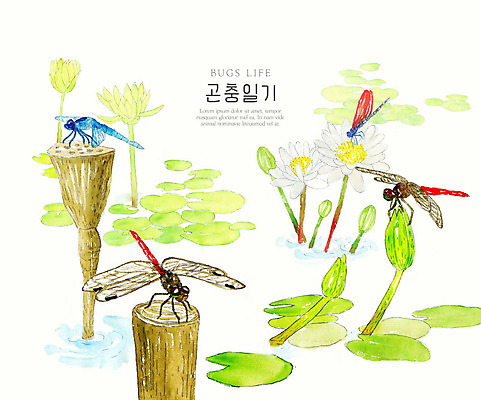 PSD 나무 곤충 여러마리 일러스트 자연 수채화 연꽃 풍경 사람없음 컬러풀 연못 잠자리 연잎 생태계 국내일러스트 식물 동물 꽃 컬러 다수 잎 파일형식