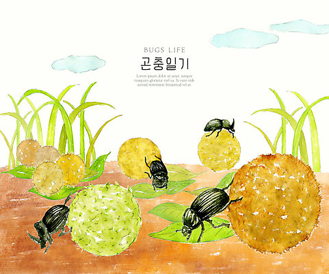 PSD 구름 곤충 여러마리 일러스트 자연 나뭇잎 수채화 풍경 사람없음 컬러풀 흙 풀잎 땅 생태계 쇠똥구리 국내일러스트 자연요소 동물 컬러 다수 잎 풀_식물 파일형식