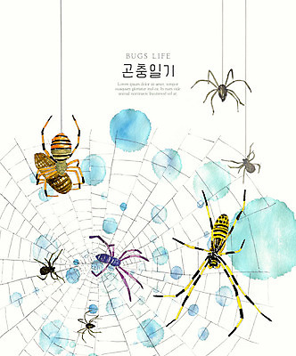 PSD 곤충 여러마리 일러스트 자연 수채화 풍경 사람없음 컬러풀 거미줄 생태계 거미 국내일러스트 동물 컬러 다수 파일형식