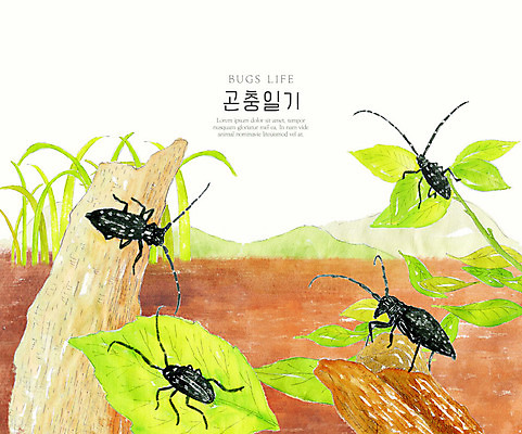 PSD 나무 곤충 여러마리 일러스트 자연 나뭇잎 수채화 산 풍경 사람없음 컬러풀 흙 풀잎 땅 생태계 하늘소 국내일러스트 식물 동물 컬러 다수 잎 풀_식물 파일형식