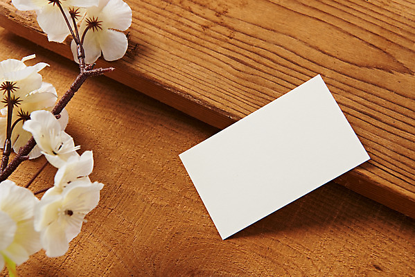 포토 JPG 스튜디오촬영 명함 재질 프레임 실내 사람없음 한개 사무용품 공백 벚꽃 오브젝트 꽃가지 디자인소스 목업 카피스페이스 편집소스 나무배경 국내포토 1 꽃 백그라운드 문구용품 내부 나뭇가지 파일형식