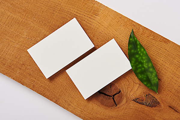 포토 JPG 스튜디오촬영 잎 명함 재질 나뭇잎 프레임 실내 사람없음 하이앵글 사무용품 공백 두개 흰색 오브젝트 흰배경 디자인소스 목업 플랫레이 카피스페이스 편집소스 국내포토 식물 뷰포인트 컬러 백그라운드 2 문구용품 내부 플랫 파일형식