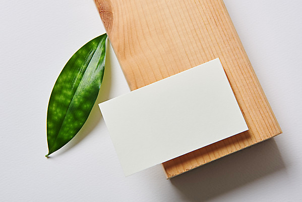 포토 JPG 스튜디오촬영 잎 명함 재질 나뭇잎 프레임 실내 사람없음 한개 사무용품 공백 흰색 오브젝트 흰배경 디자인소스 목업 카피스페이스 편집소스 국내포토 식물 1 컬러 백그라운드 문구용품 내부 파일형식