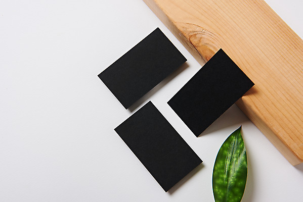 포토 JPG 스튜디오촬영 잎 명함 재질 나뭇잎 프레임 실내 사람없음 사무용품 공백 세개 오브젝트 흰배경 디자인소스 목업 카피스페이스 편집소스 국내포토 식물 백그라운드 문구용품 3 내부 흰색 파일형식