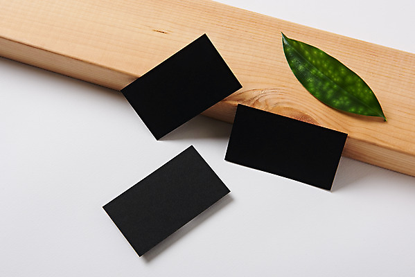 포토 JPG 스튜디오촬영 잎 명함 재질 나뭇잎 프레임 실내 사람없음 사무용품 공백 세개 오브젝트 흰배경 디자인소스 목업 카피스페이스 편집소스 국내포토 식물 백그라운드 문구용품 3 내부 흰색 파일형식