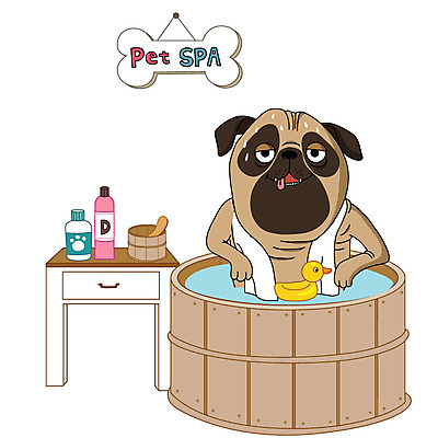 동물 한마리 일러스트 사람없음 반려동물 수건 위생용품 컬러풀 귀여움 스파 목욕 강아지 서랍장 애견미용 오리장난감 국내일러스트 AI파일 1 컬러 가구 생활용품 컨셉 장난감 뷰티 청결 개 파일형식 벡터