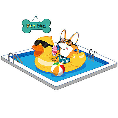 동물 한마리 음료 일러스트 수영장 사람없음 반려동물 컬러풀 귀여움 강아지 비치볼 튜브 오리튜브 국내일러스트 AI파일 1 컬러 컨셉 공 바캉스용품 개 파일형식 벡터
